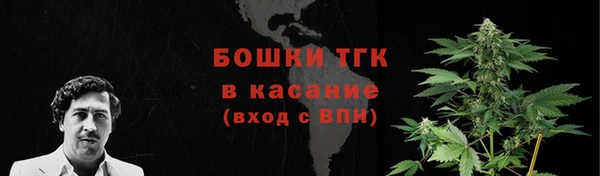спиды Богородск