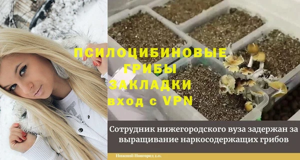 метадон Богданович