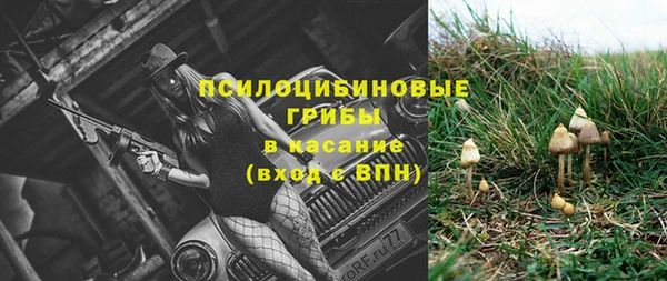 кокс Богородицк