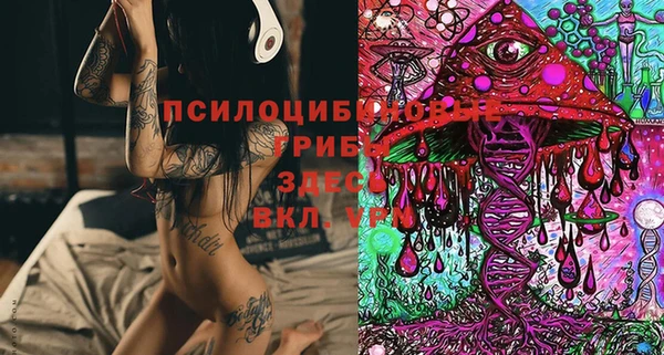 мескалин Бородино