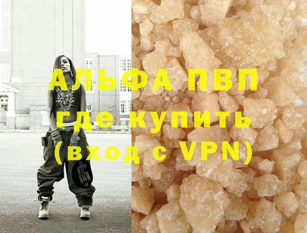 метадон Богданович