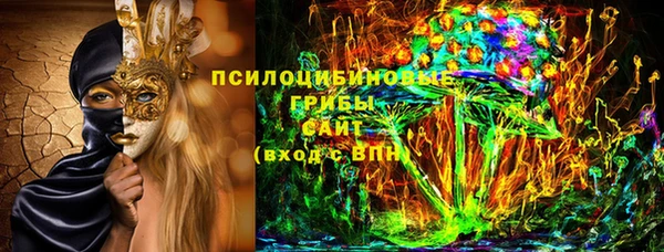 спиды Богородск