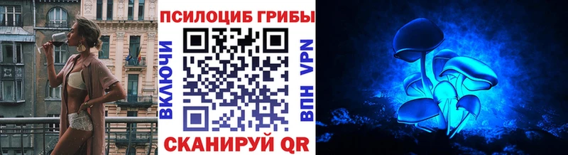 Галлюциногенные грибы Psilocybe  Барыш 
